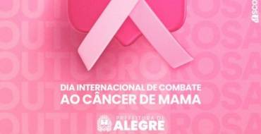 Dia Internacional de Combate ao Câncer de Mama
